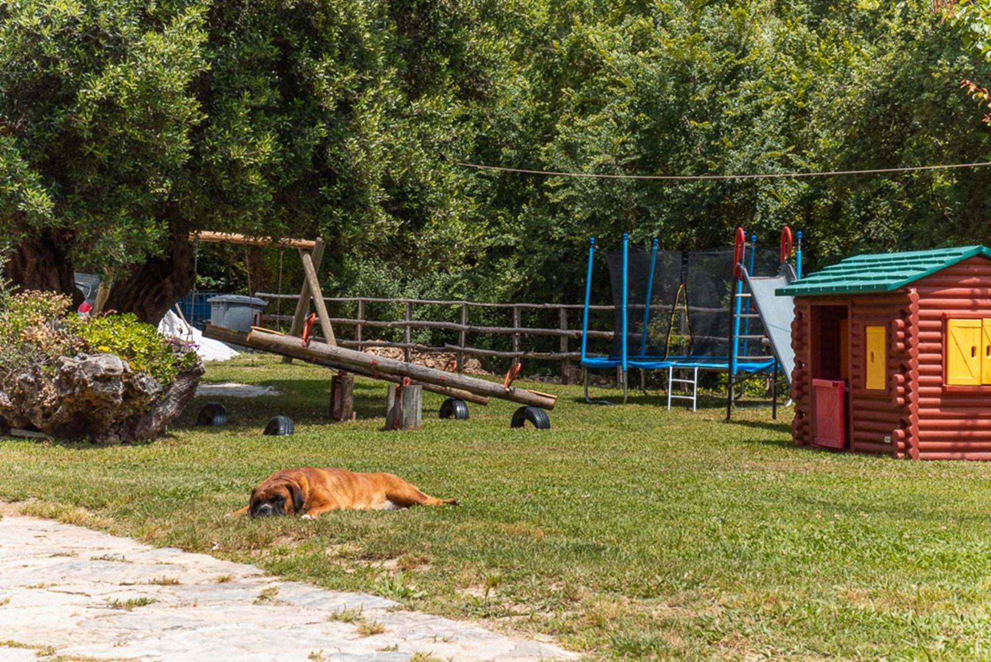 Agriturismo San Basilio Salento Εξωτερικό φωτογραφία
