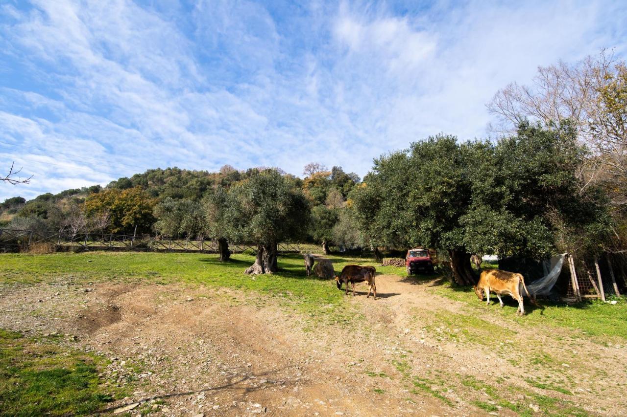 Agriturismo San Basilio Salento Εξωτερικό φωτογραφία